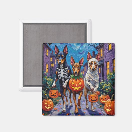 Australische Kelpie Trick-or-Treating Halloween Magneet (Voorkant / Achterkant)