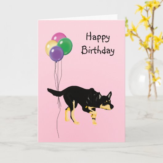 Australische Kelpie, Verjaardagsballonnen Kaart (Gele Bloem)