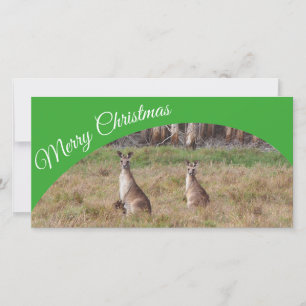 Australische kerstkaart voor Merry