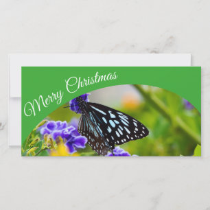 Australische kerstkaart voor Merry