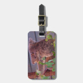 Australische koala en baby bagagelabel (Voorkant verticaal)