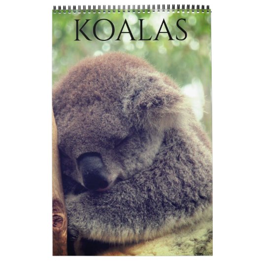 Australische koala's 2025 kalender (Hoes)