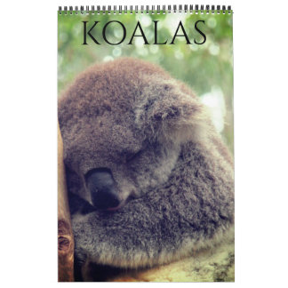 Australische koala's 2027 kalender