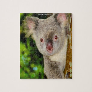 Australische Koala's Legpuzzel