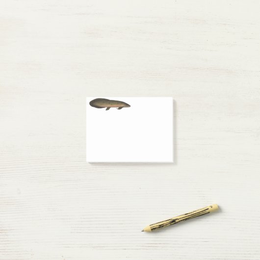 Australische longvis post-it® notes (Op bureau)