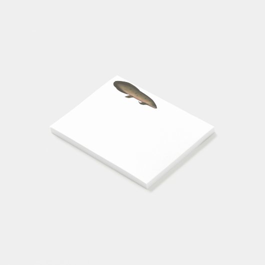 Australische longvis post-it® notes (Schuin)