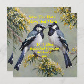 Australische Magpies olieverf, bewaar de datum, Save The Date (Voorkant / Achterkant)
