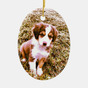 Australische miniatuurherder! Mini Aussie Puppy! Keramisch Ornament