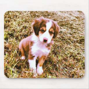 Australische miniatuurherder! Mini Aussie Puppy! Muismat