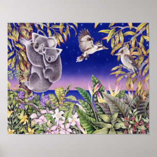 Australische nacht poster