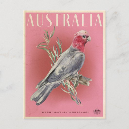 Australische parrot Briefkaart (Voorkant)
