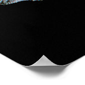 Australische Pelicans achtergrond Poster (Hoek)