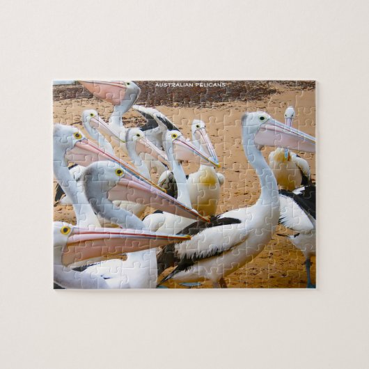Australische Pelicans Legpuzzel (Horizontaal)