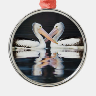 Australische Pelicans Pelecanus Conspicillatus Metalen Ornament