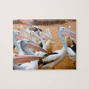 Australische pelikanen legpuzzel
