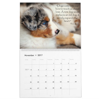Australische Puppies Shepherd Agenda Kalender