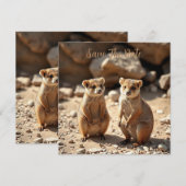 Australische Quokka Twins, Save The Date (Voorkant / Achterkant)
