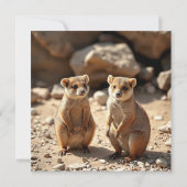 Australische Quokka Twins, Save The Date (Achterkant)