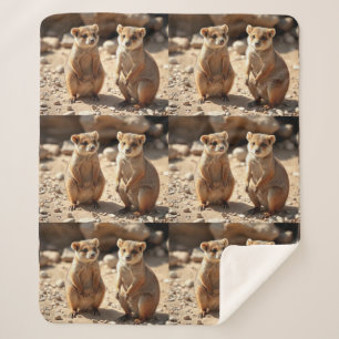 Australische Quokka Twins, Sherpa Deken