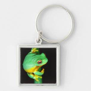 Australische Red Eye Treefrog, Litoria chloris, Sleutelhanger