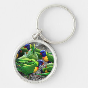 Australische regenboog Lorikeets Sleutelhanger
