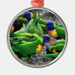 Australische regenboog Loriket Birds Metalen Ornament