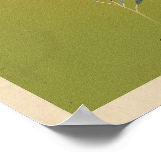 Australische reisposter Koala Poster (Hoek)