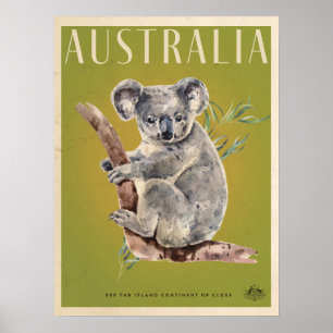  Australische reisposter Koala Poster