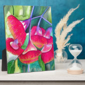 Australische roodbloeiende waterverf fotoplaat (Zijkant)