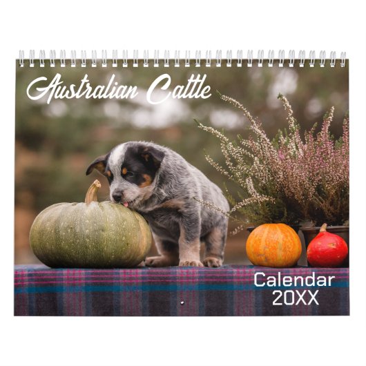 Australische Rundvee Hond Kalender 2026 (Hoes)