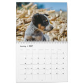 Australische Rundvee Hond Kalender 2026 (Jan 2027)