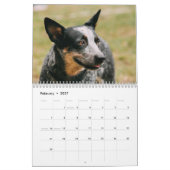 Australische Rundvee Hond Kalender 2026 (Feb 2027)