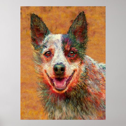 australische rundveefond poster (Voorkant)