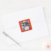 AUSTRALISCHE SHEPARD SQUARE STICKER (Envelop)