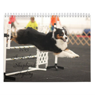 Australische Shepherd Agility Calendar 2013 Kalender