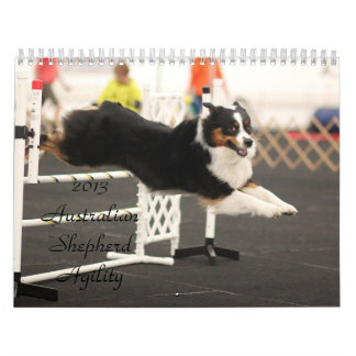 Australische Shepherd Agility Calendar 2013 Kalender