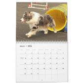 Australische Shepherd Agility Calendar 2014 Kalender (Mar 2026)