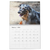 Australische Shepherd Dog-kalender 2013 Kalender (Feb 2026)