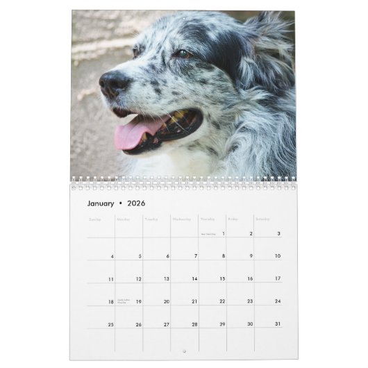 Australische Shepherd Dog-kalender 2013 Kalender (Jan 2026)
