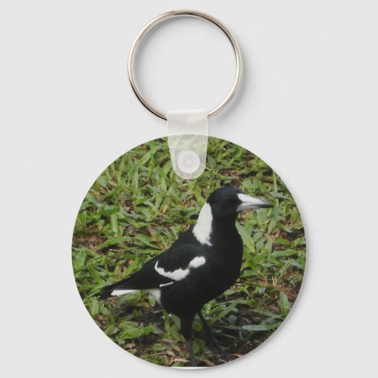 Australische sleutelhanger Magpie (Voorkant)