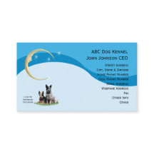 Australische stierenhond met Gold Moon & Stars pro