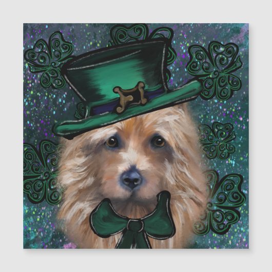 Australische Terrier (Voorkant)