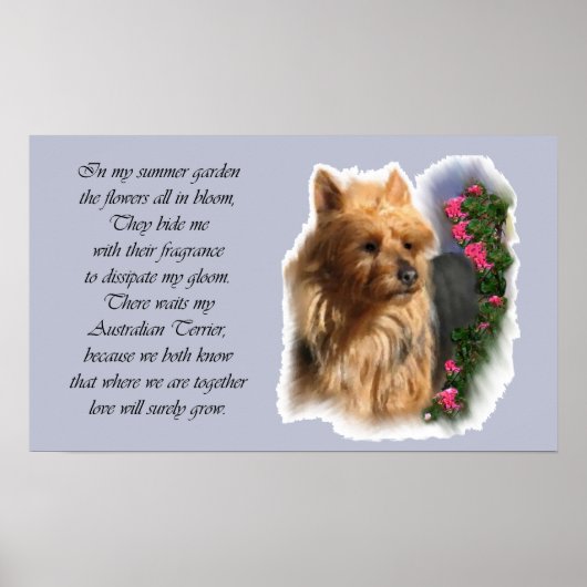 Australische Terrier Art Gifts Poster (Voorkant)