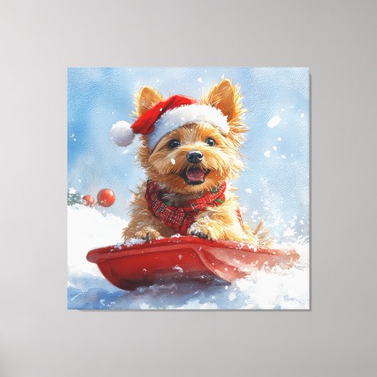 Australische Terriër in Sledge Laat het Sneeuw Ker Canvas Afdruk (Voorkant)