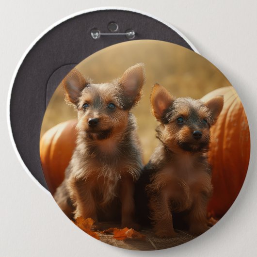 Australische Terrier Puppy Herfst Delight Pompoen Ronde Button 6,0 Cm (Voorkant /achterkant)