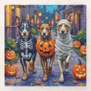 Australische vee hocus pocus op Halloween Glazen Onderzetter