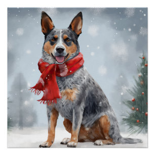 Australische vee Hond in Sneeuw Kerstmis Perfect Poster
