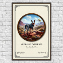 Australische Veedrijvershond Zoölogie Serie