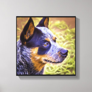 Australische veehond - Hond Portret Canvas Afdruk