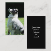 Australische visitekaartjes van Shepherd (Voorkant / Achterkant)